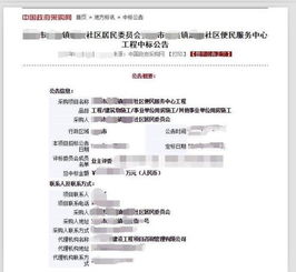 社區居民委員會工程采購是否屬于政府采購行為——兼論政府采購代理服務的邊界